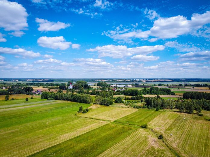 niewyrazisty-poland-6102118_1280